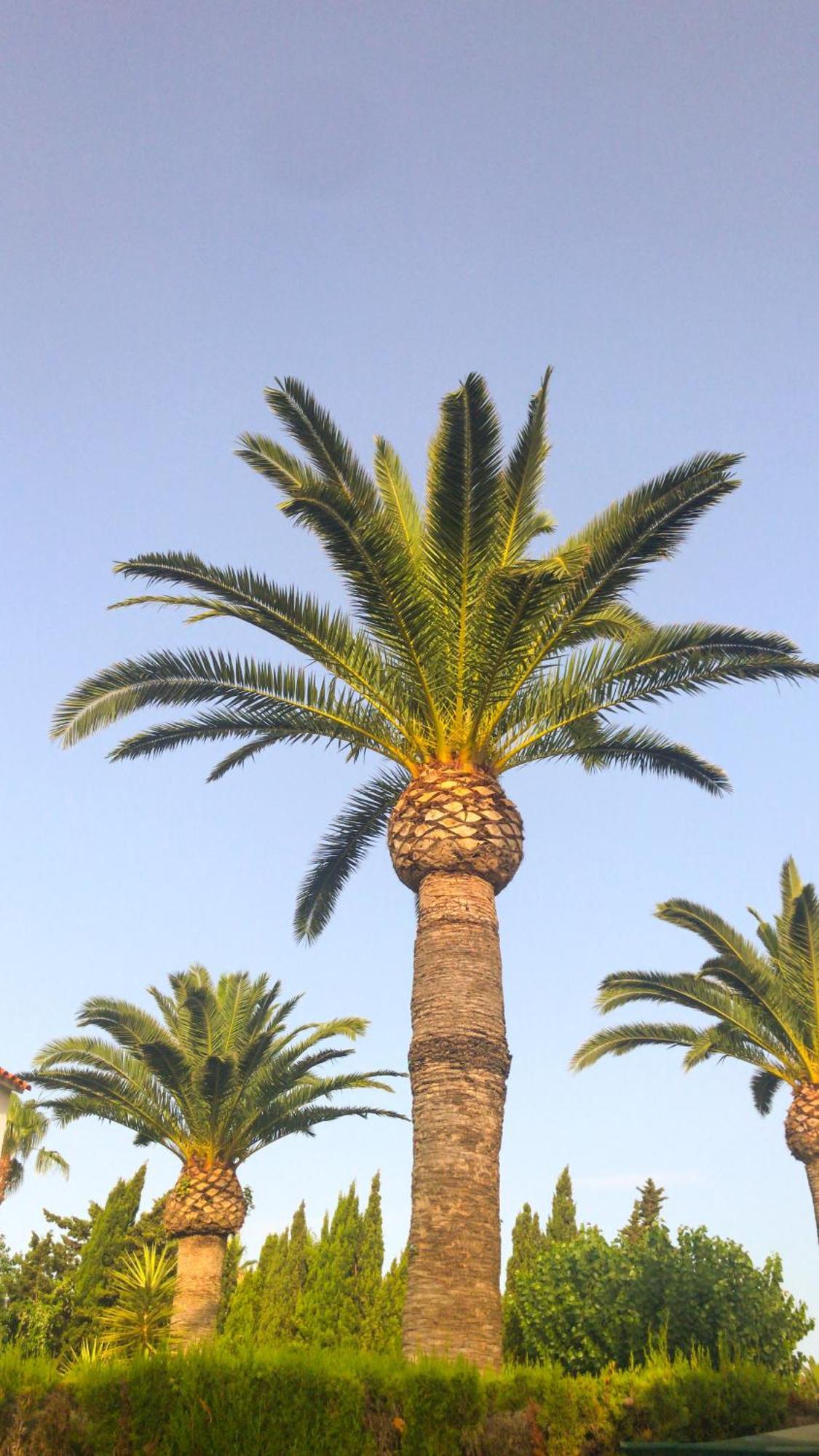 Villa Denia El Palmar 183 Esterno foto